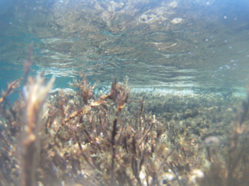 Village Camps International Summer Camp Paphos, Cyprus 2015-07-10 https://www.villagecamps.com/journals_admin/images/1216-1600-20FILE0055 1.JPG.jpg